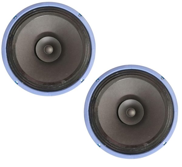 QS MI-300R میدرنج 12 اینچ کیو اس